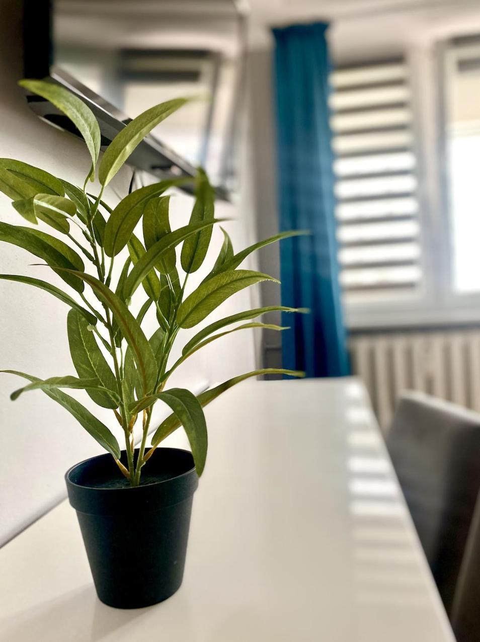 Doba Rent Pokoje Centrum Palacowa Białystok Eksteriør billede
